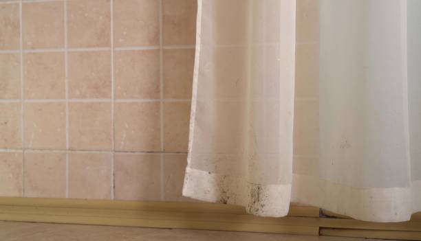 Best Mold-Related Health Consultation  in Sparta, GA