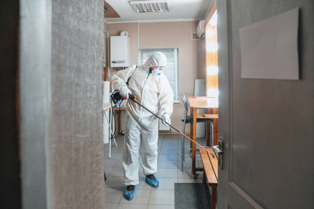 Best Mold Prevention Services  in Sparta, GA