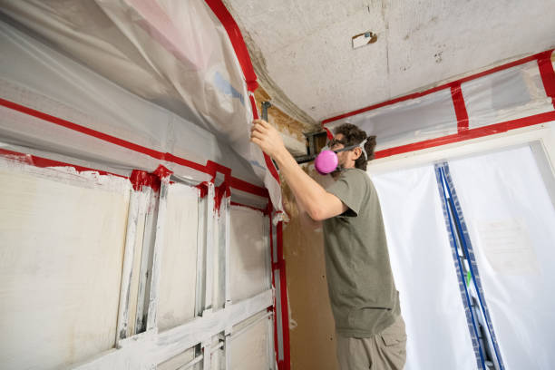 Best Mold Odor Removal Services  in Sparta, GA