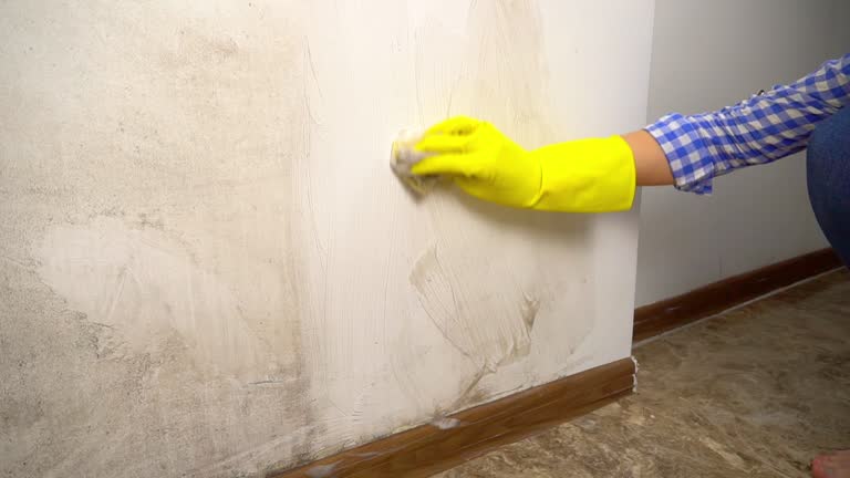 Best Airborne Mold Testing  in Sparta, GA