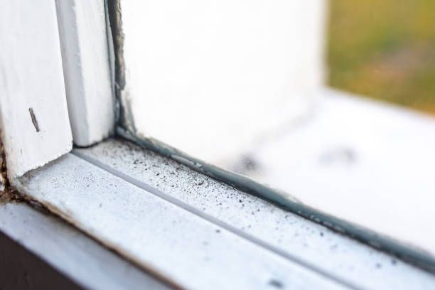 Best HVAC Mold Inspection and Cleaning  in Sparta, GA