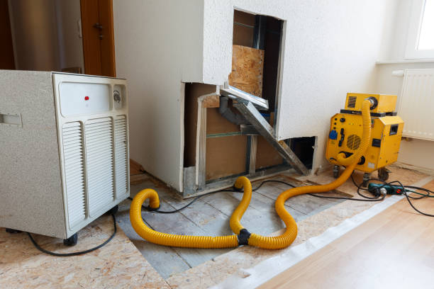 Best Dehumidification Services  in Sparta, GA