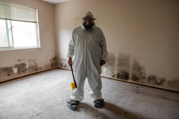 Environmental Consulting for Mold Prevention in Sparta, GA