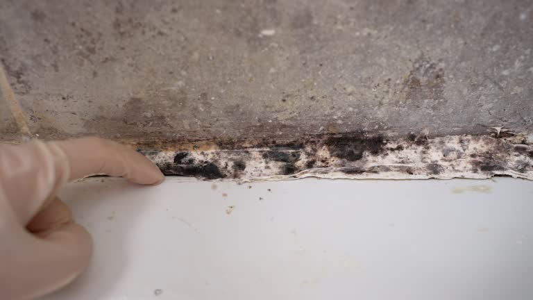 Best Air Quality Testing for Mold Spores  in Sparta, GA