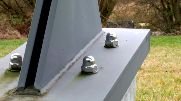 Best Mold Documentation for Insurance Claims  in Sparta, GA